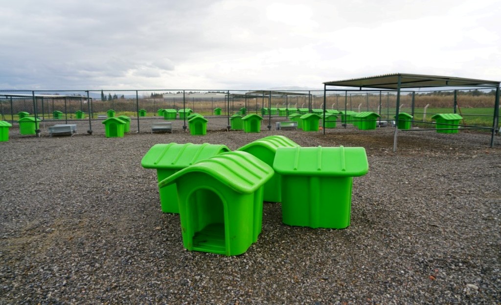 CAN DOSTLARA YENİ YAŞAM ALANI (1)