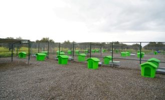 CAN DOSTLARA YENİ YAŞAM ALANI (2)