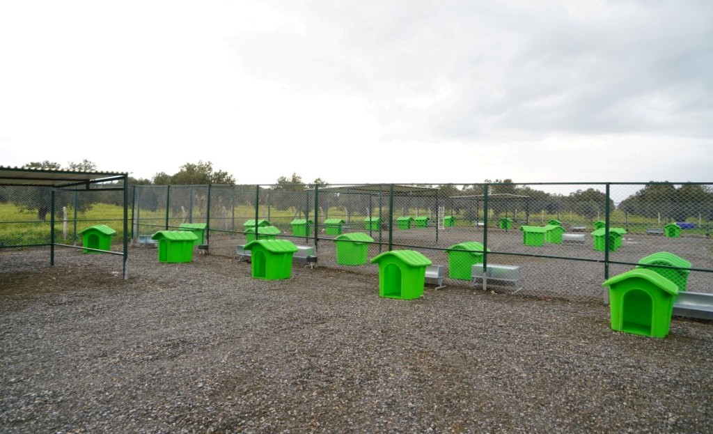 CAN DOSTLARA YENİ YAŞAM ALANI (2)