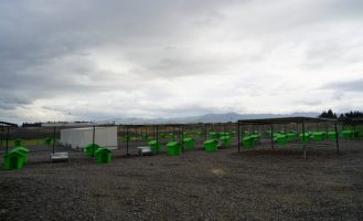 CAN DOSTLARA YENİ YAŞAM ALANI (3)