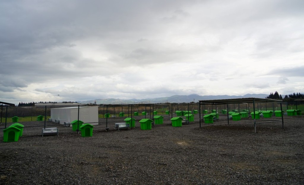 CAN DOSTLARA YENİ YAŞAM ALANI (3)