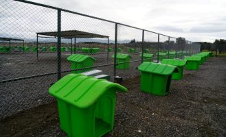 CAN DOSTLARA YENİ YAŞAM ALANI (7)