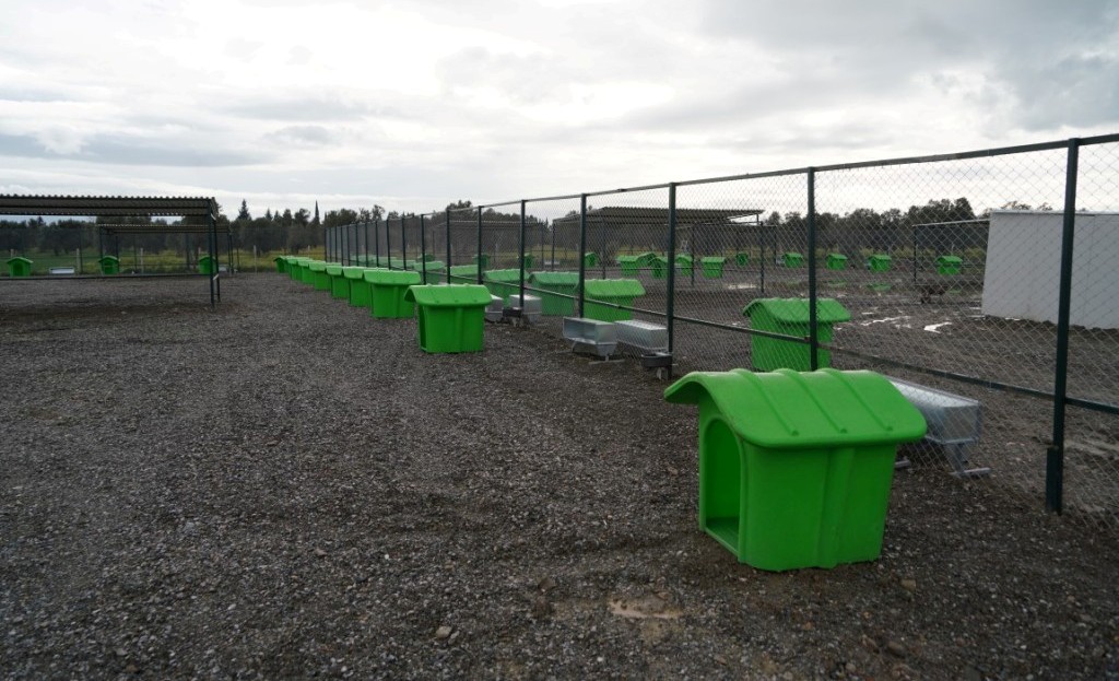 CAN DOSTLARA YENİ YAŞAM ALANI (8)