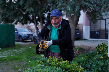 0-360x240 Ayvalık Belediyesi Bahar Hazırlıklarını Hızlandırdı