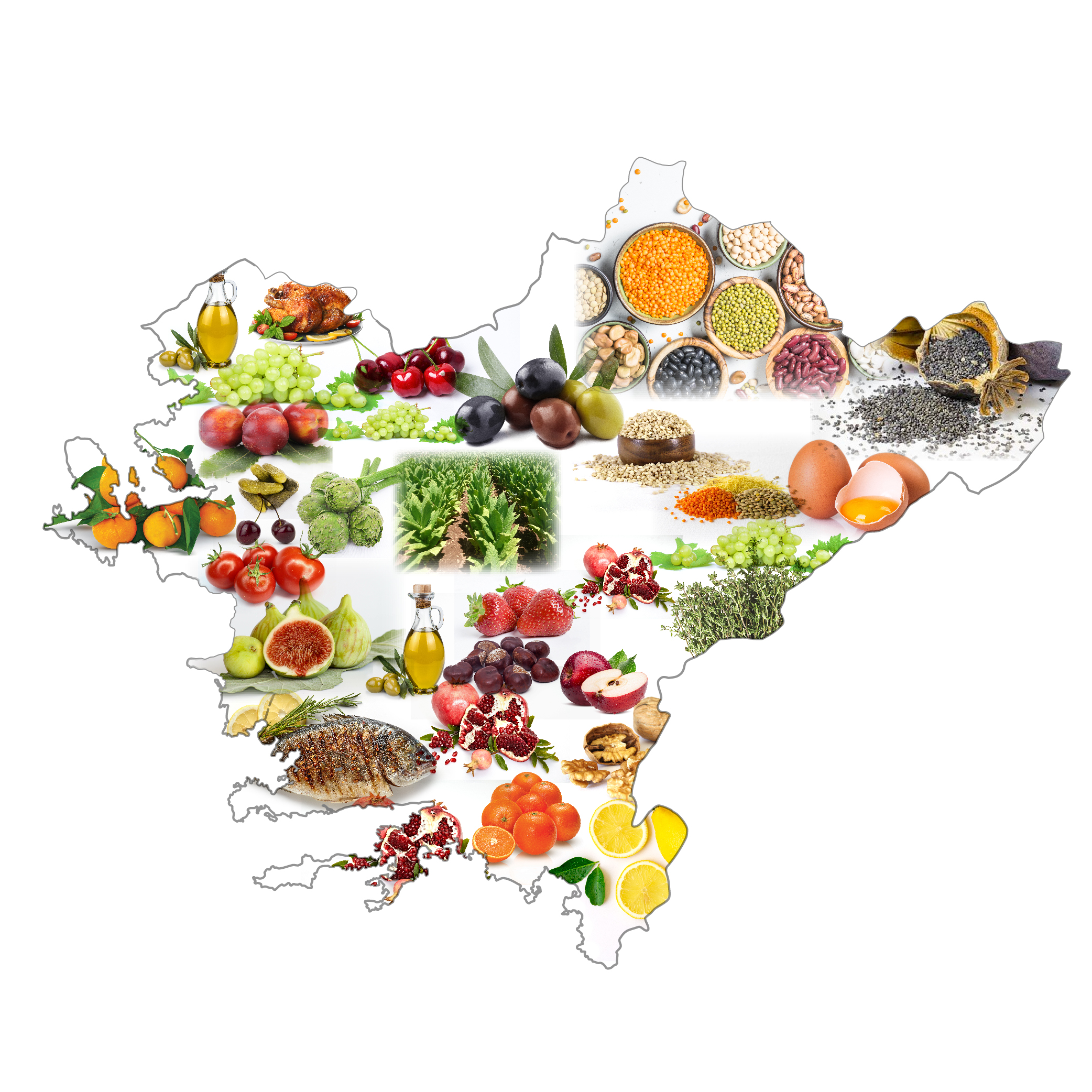 1770101209 1715587541 1713506414 1652356187 1643272443 EGE BOLGESI TARIM GORSELI