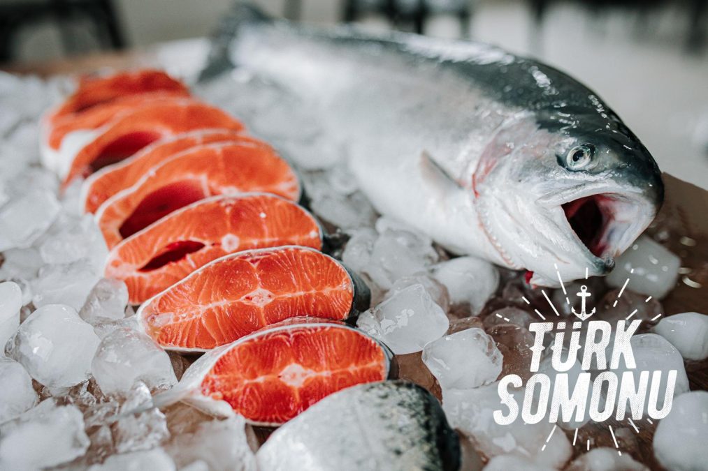 1770186393 1768223898 1718344961 1699708773 1646290906 1635847679 1618836697 IMG 20200410 WA0007