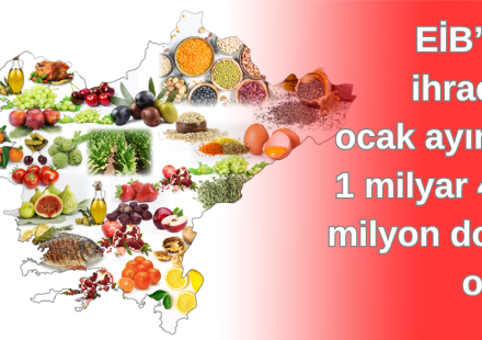 Büyük Şehir Belediye Çalışanlarına, Dünya Kanser Gününde Eğitim Verildi