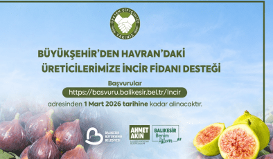 Balıkesir Büyükşehir Belediyesi Havran İncir Fidanı Dağıtımı Başvuruları Başladı