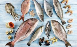 ABD Pazarında Türk Levreği Rüzgarı: İhracatta %313’lük Rekor Artış!