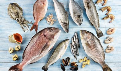 ABD Pazarında Türk Levreği Rüzgarı: İhracatta %313’lük Rekor Artış!