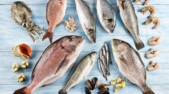 ABD Pazarında Türk Levreği Rüzgarı: İhracatta %313’lük Rekor Artış!