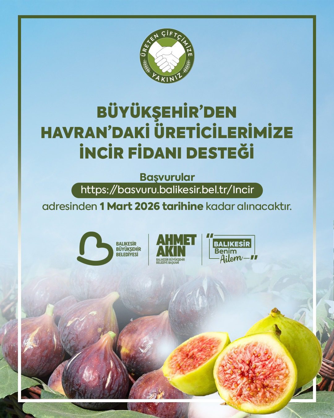 buyuksehir_incir_fidani_dagitimina_basliyor Balıkesir Büyükşehir Belediyesi Havran İncir Fidanı Dağıtımı Başvuruları Başladı