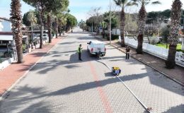 Altınova Sahili’nde BALDEP Çalışması Sürüyor