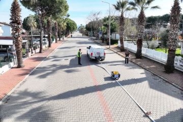 01-1-360x240 Altınova Sahili’nde BALDEP Çalışması Sürüyor