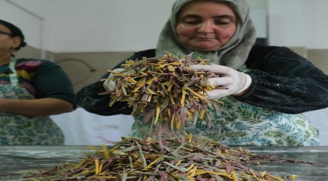 Ayvalık Belediyesi Kooperatifi’nden Sofralara Kadın Emeği