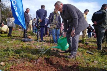 06_1201x800-360x240 Ayvalık'ta Geleceğe Nefes: 150 Fıstık Çamı Toprakla Buluştu
