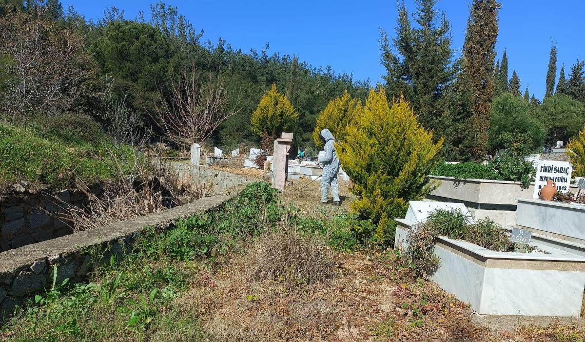 07-6 Ayvalık’ta Mezarlıklar Bayrama Hazırlandı