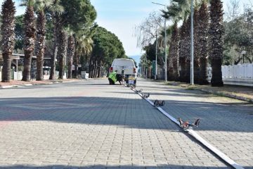 08-1-360x240 Altınova Sahili’nde BALDEP Çalışması Sürüyor