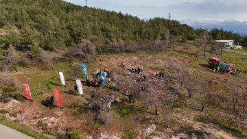 09_1280x720-360x203 Ayvalık'ta Geleceğe Nefes: 150 Fıstık Çamı Toprakla Buluştu