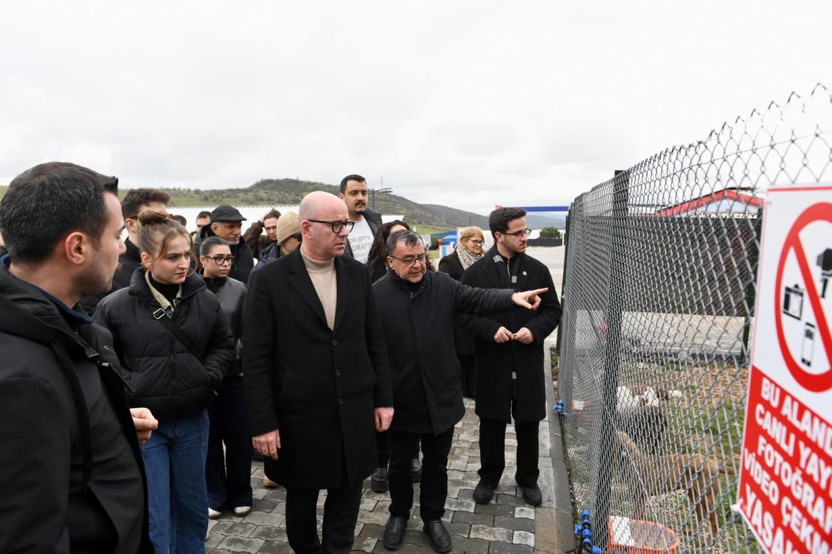 1-1-3 Altıeylül’de 228 köpek sahiplendirme bekliyor