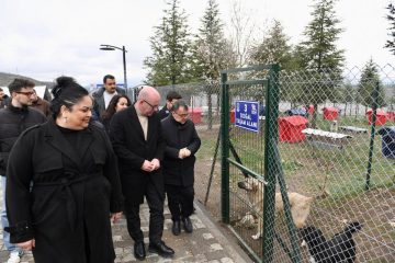 1-10-1-360x240 Altıeylül’de 228 köpek sahiplendirme bekliyor