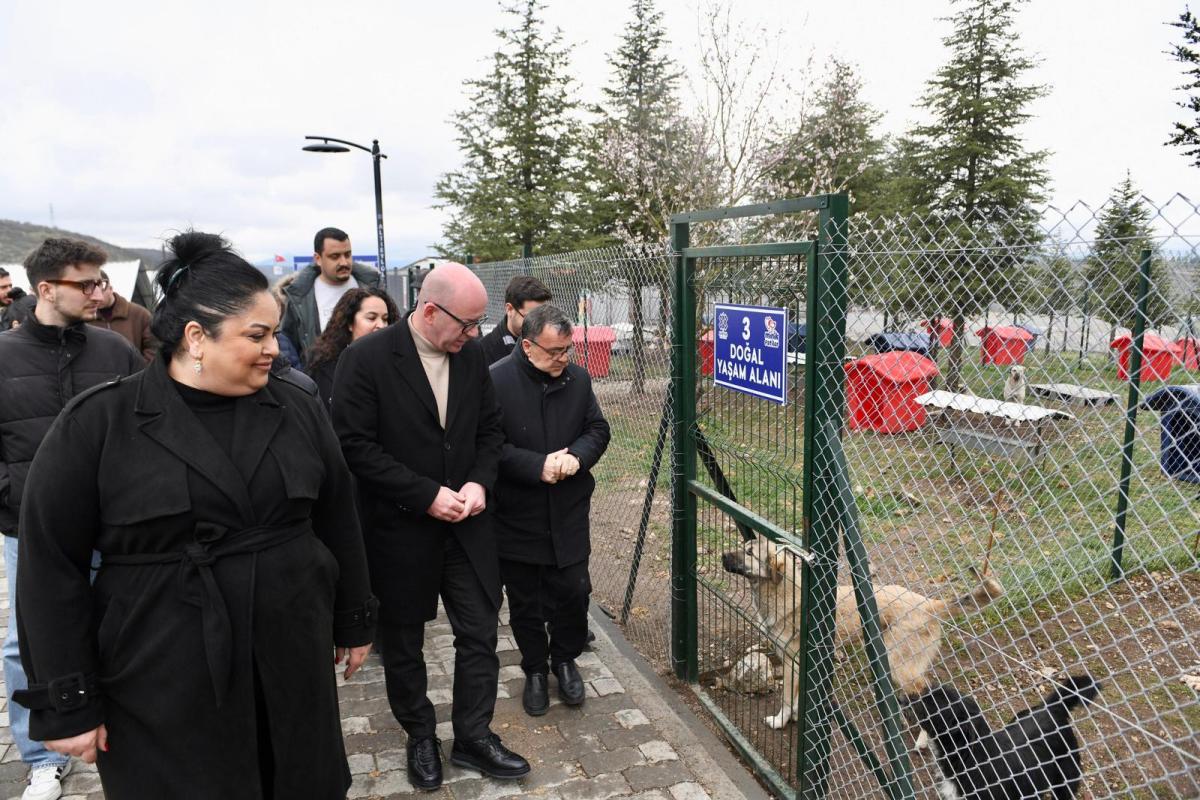 1-10-1 Altıeylül’de 228 köpek sahiplendirme bekliyor