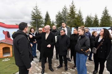 1-2-3-360x240 Altıeylül’de 228 köpek sahiplendirme bekliyor