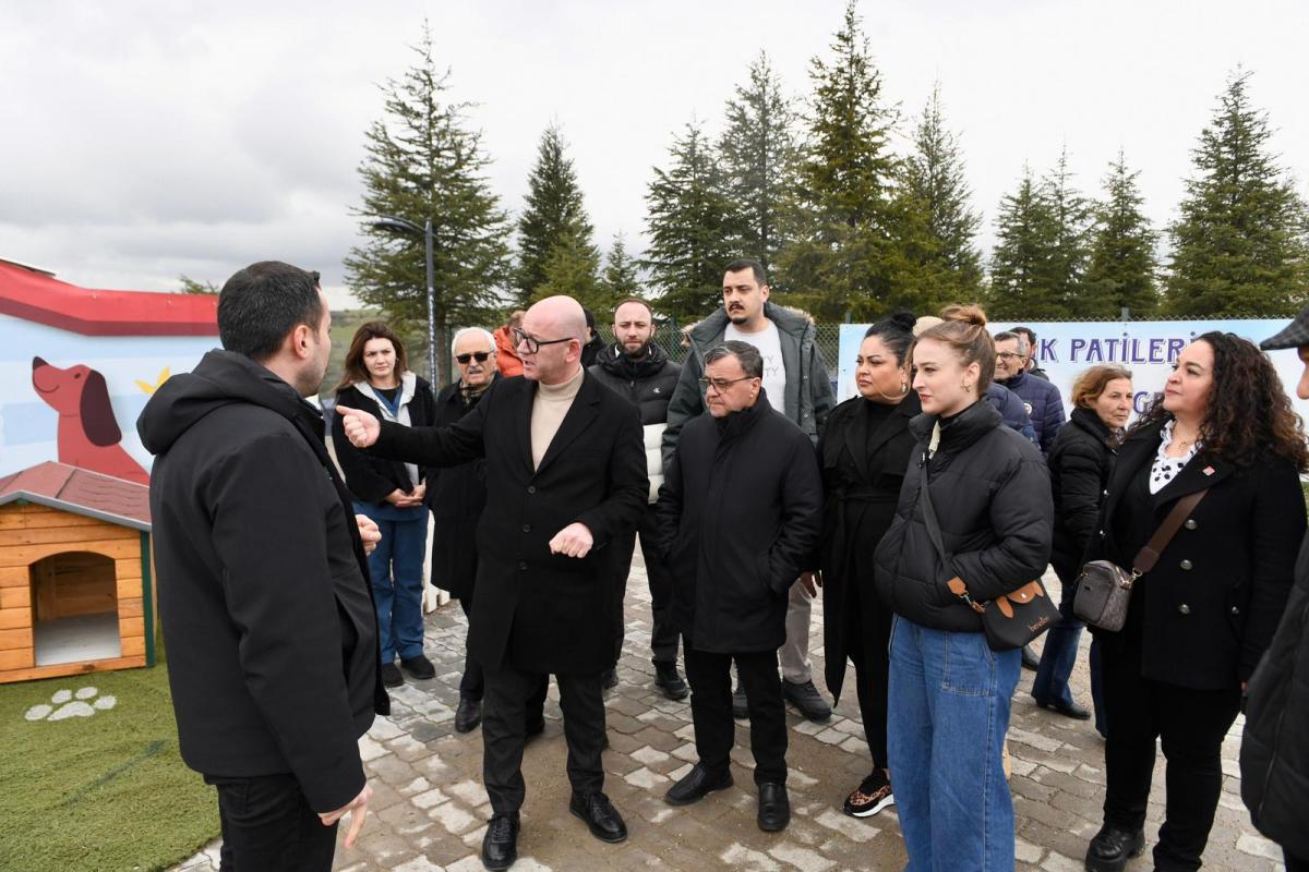 1-2-3 Altıeylül’de 228 köpek sahiplendirme bekliyor