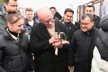 1-3-3-360x240 Altıeylül’de 228 köpek sahiplendirme bekliyor