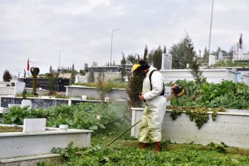1-4-1-360x240 Altıeylül’de Mezarlıklarda Bayram Öncesi Temizlik Seferberliği