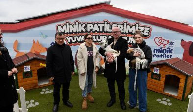 Altıeylül’de 228 köpek sahiplendirme bekliyor