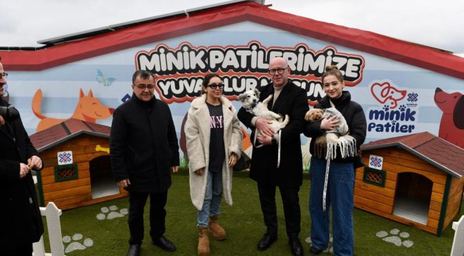 Altıeylül’de 228 köpek sahiplendirme bekliyor