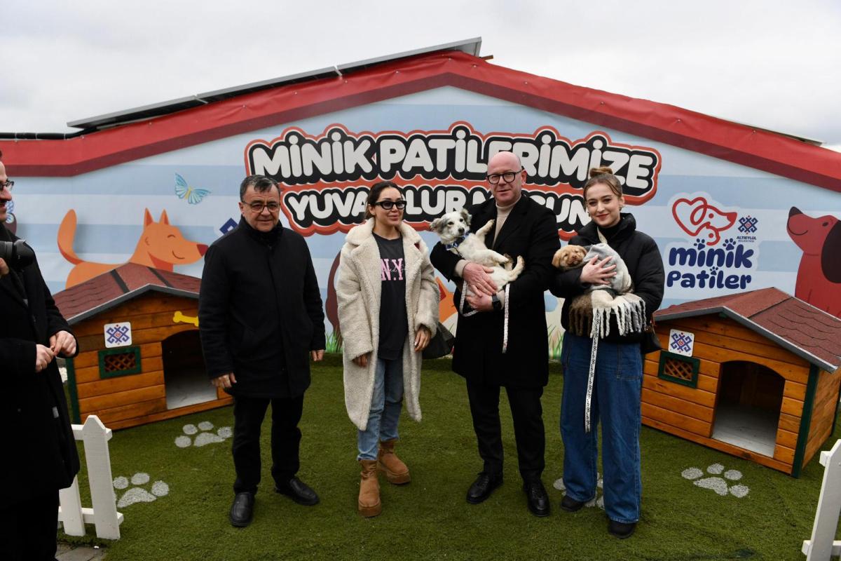 Altıeylül’de 228 köpek sahiplendirme bekliyor