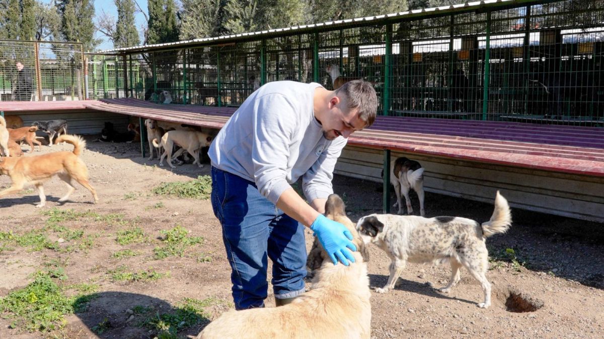 CAN-DOSTLAR-12 Burhaniye Belediyesi Can Dostlarını Sıcak Yuvalarla Buluşturuyor