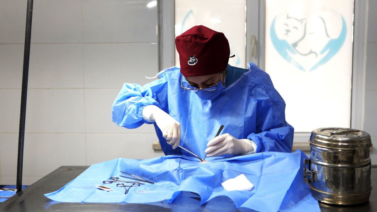 CAN-DOSTLAR-13 Burhaniye Belediyesi Can Dostlarını Sıcak Yuvalarla Buluşturuyor