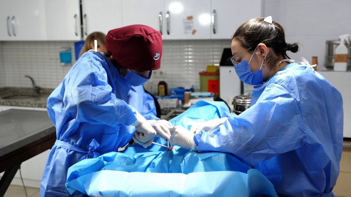 CAN-DOSTLAR-2 Burhaniye Belediyesi Can Dostlarını Sıcak Yuvalarla Buluşturuyor