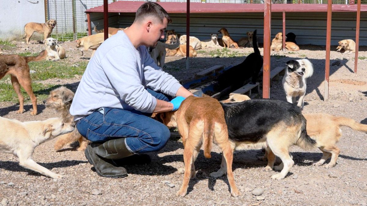 CAN-DOSTLAR-5 Burhaniye Belediyesi Can Dostlarını Sıcak Yuvalarla Buluşturuyor