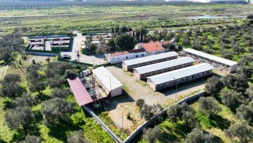 CAN-DOSTLAR-8-360x203 Burhaniye Belediyesi Can Dostlarını Sıcak Yuvalarla Buluşturuyor