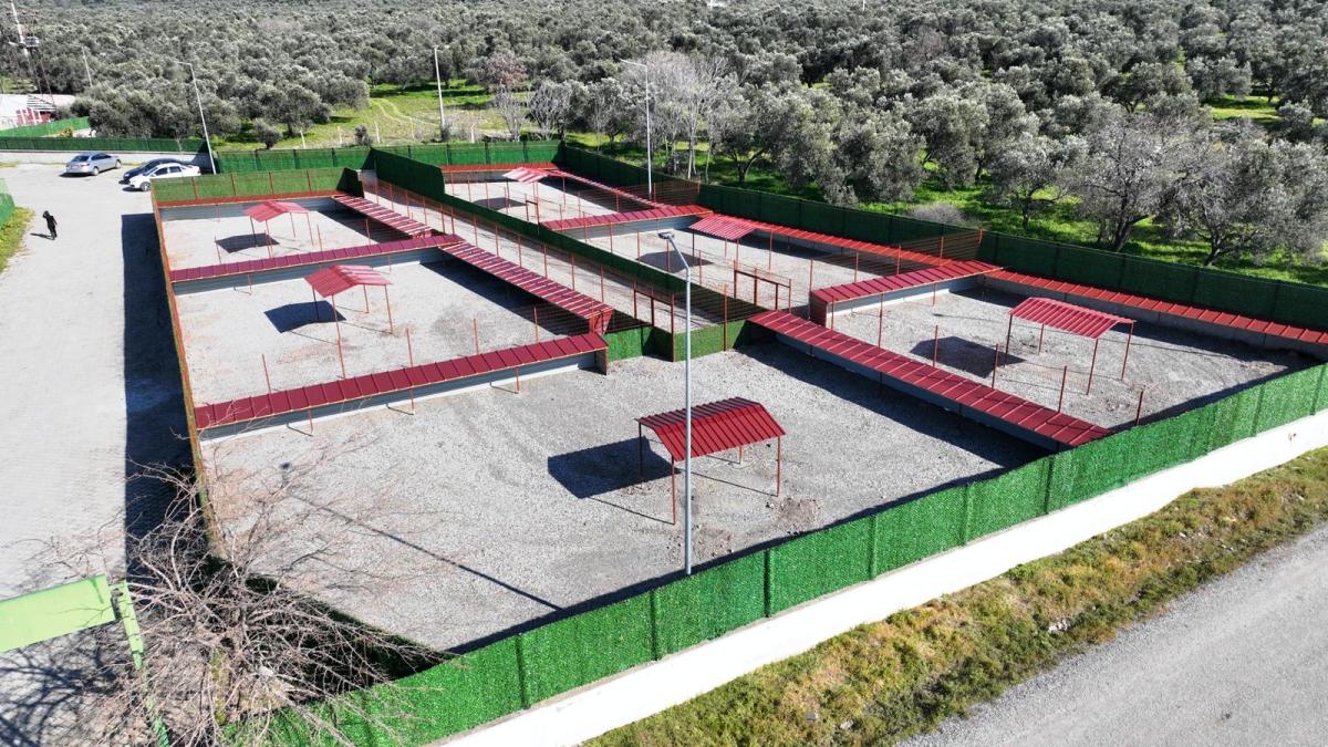 CAN-DOSTLAR-9 Burhaniye Belediyesi Can Dostlarını Sıcak Yuvalarla Buluşturuyor