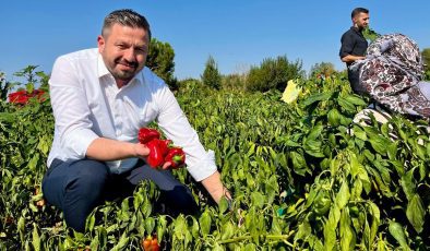 Balıkesir çiftçisine müjde: 867 Milyon TL hesaplara yatıyor