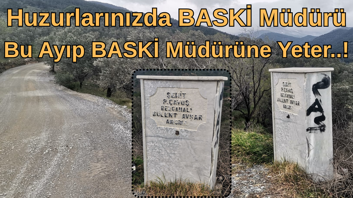 Bu Ayıp BASKİ Müdürüne Yeter