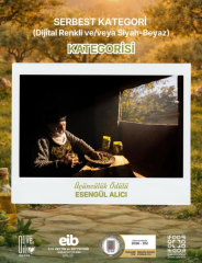 Zeytinin-Emegi-Dogasi-ve-Bereketi-4-184x240 ‘’Yeşilin Altın Damlası’’ Fotoğraf Yarışması’nda kazananlar açıklandı