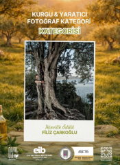 Zeytinin-Emegi-Dogasi-ve-Bereketi-6-175x240 ‘’Yeşilin Altın Damlası’’ Fotoğraf Yarışması’nda kazananlar açıklandı