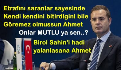 Hadi Birol Şahin’i Yalanlasana Ahmet