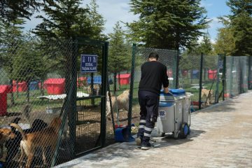 1-2-360x240 Altıeylül hayvan barınağına 2 ton mama desteği