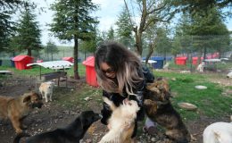 Altıeylül hayvan barınağına 2 ton mama desteği