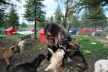 1-3-360x240 Altıeylül hayvan barınağına 2 ton mama desteği