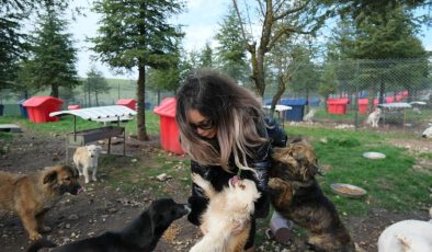 Altıeylül hayvan barınağına 2 ton mama desteği