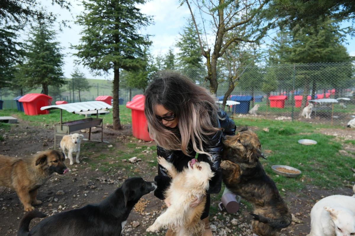 Altıeylül hayvan barınağına 2 ton mama desteği