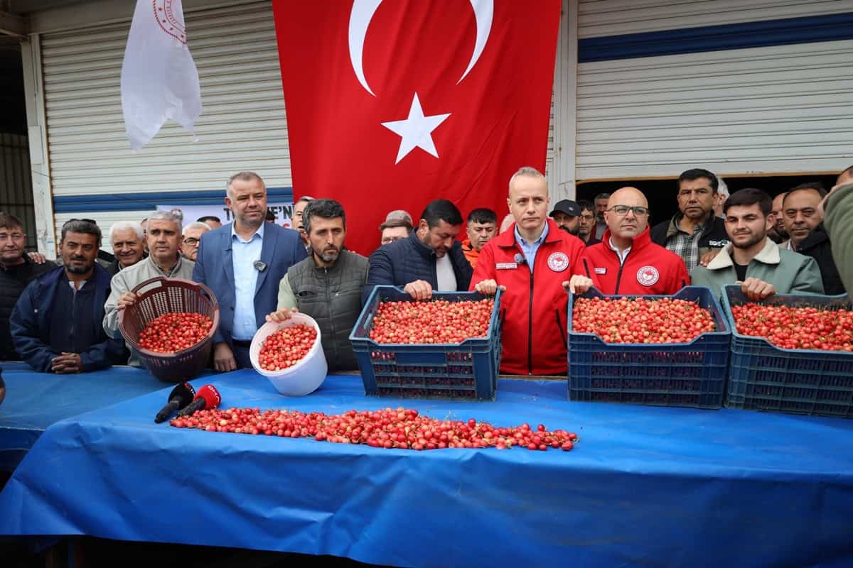 Kiraz-Hasadi-Manisa-4 Son Dakika: 200 Milyon Dolarlık Hedef: Kiraz Hasadı Manisa’da Başladı